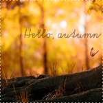 99px.ru аватар Стов дерева над которым пролетает бабочка (Hello, autumn / Привет, осень)