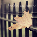 99px.ru аватар Осенний лист на заборе (Hello, autumn / Привет, осень)