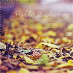 Аватар Дорога из осенних листьев (Hello, autumn / Привет, осень)