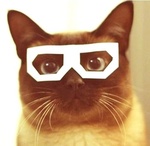 99px.ru аватар Сиамская кошка в белых квадратных очках