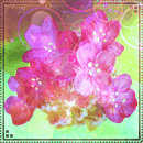 Аватар Малиновые цветы