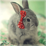 99px.ru аватар Маленький кролик с красным блестящим бантом