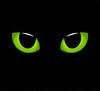 Аватар Кошачьи глаза моргают в темноте