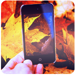 99px.ru аватар Фотография опавших осенних листьев в iPhone