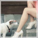 99px.ru аватар Собачка у ног девушки и блики-сердечки