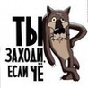 99px.ru аватар Волк из мультфильма Жил был пёс (ты заходи если чё)