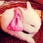 99px.ru аватар Белый кролик с розовым бантом сидит в корзинке