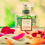 99px.ru аватар Духи от Шанель стоят среди лепестков (Coco Chanel)