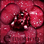 Аватар Бордовый цветок (Emotion / Эмоция)