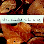Аватар Опавшие листья (I'm thankful to be alive / Я благодарен, что жив)