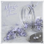 Аватар Цветы сирени высыпались из банки (magic flower / магический цветок)