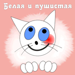 Аватар Две кошки: одна *Белая и пушистая*, а вторая *Злая, как собака*