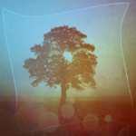 99px.ru аватар Одинокое дерево в бирюзовом тумане