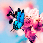 99px.ru аватар Бабочка на цветах