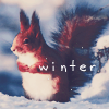99px.ru аватар Белка сидит на снегу (Winter / Зима)