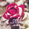 99px.ru аватар Роза под снегом (Cold / Холодно)