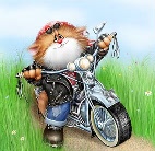 Аватар Котенок на мотоцикле