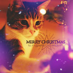 Аватар Кот трогает лапкой елочный шарик (Merry Christmas / С Рождством)