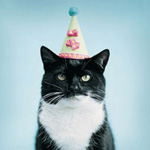99px.ru аватар Черно-белый кот с праздничным колпаком на голове