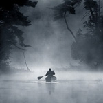 Аватар Одинокий рыбак, плывущий на лодке с одним веслом, среди огромных деревьев в тумане
