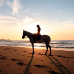 99px.ru аватар Силуэт девушки, сидящей на лошади, у моря на фоне заката