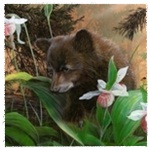 99px.ru аватар Медвежонок пришел полакомиться спелой малиной