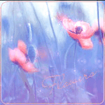 99px.ru аватар Розовый мак (flowers / цветы)