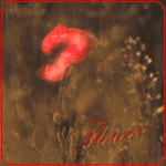 Аватар Красный мак (flower / цветок)