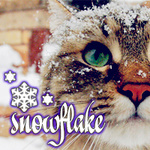 99px.ru аватар Полосатый кот усыпанный снегом (Snowflake)