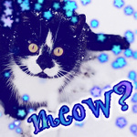 99px.ru аватар Черный кот с желтыми глазами сидит в снегу (meow?)