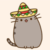 99px.ru аватар Pusheen the Cat / Кот Пушин в сомбреро