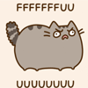 Аватар Pusheen the Cat / Кот Пушин злиться ( FUUUU / Чёёёрт )