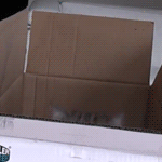 Аватар Cat Maru / Кот Мару выглядывает из коробки