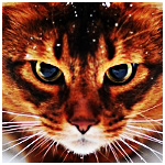 99px.ru аватар Рыжий кот породы Сомали под снегом