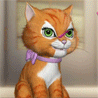 99px.ru аватар Смешной рыжий котенок наблюдает за падающими лепестками