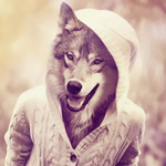 99px.ru аватар Волк в белом свитере