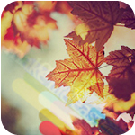 99px.ru аватар Осенние листья