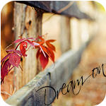 99px.ru аватар Листья у деревянного забора (Dream / мечта )