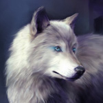 99px.ru аватар Красивый белый волк
