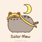 99px.ru аватар Кот Пушин / Pusheen под луной (Sailor Mew / Сеилор Мяу)