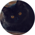 Аватар Черный котенок