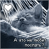 Аватар Котенок спит в гамаке и надпись 'А кто не любит поспать?'