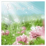 99px.ru аватар Розовые цветы под солнечными лучами (summer / лето)