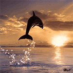 99px.ru аватар Дельфин над водой на фоне заката солнца