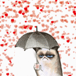 99px.ru аватар Grampy cat / Грустный кот с зонтиком стоит под дождем из сердечек