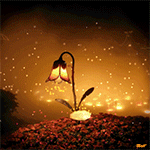 99px.ru аватар Цветок - фонарик озаряющий ночную лужайку с розовыми цветами