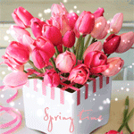 Аватар Красные тюльпаны в белой коробочке (Spring time / Весеннее время)