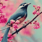 99px.ru аватар Синяя птица сидит на ветке с розовыми цветами
