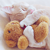 99px.ru аватар Миленькая кошка спит, обняв лапами плюшевую игрушку