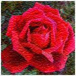 99px.ru аватар Ярко-красная роза на фоне листьев с немного размазанной текстурой